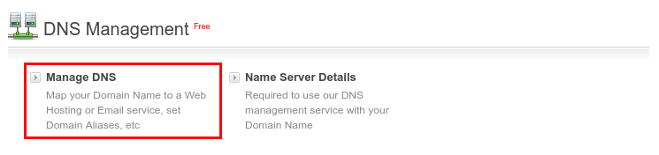 DNS Manager