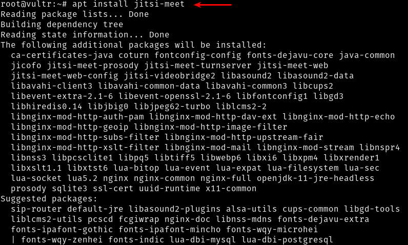 Install Jitsi Meet package