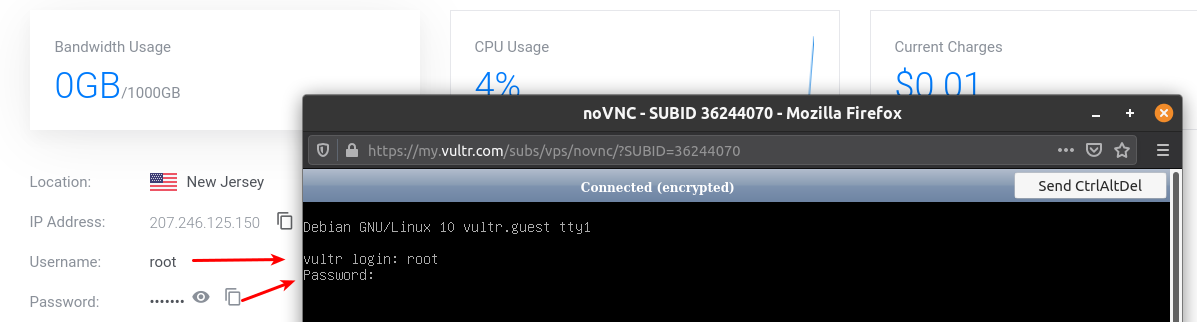 VPS login terminal